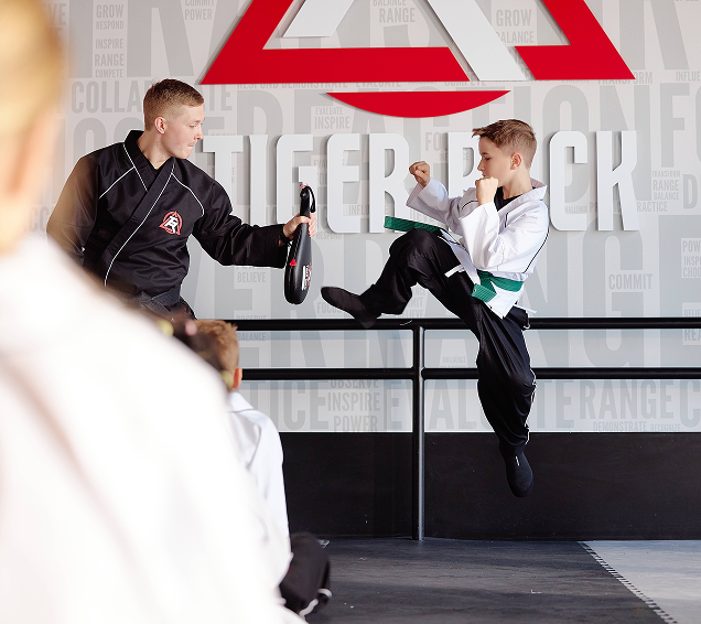 Tiger-Rock Martial Arts Training